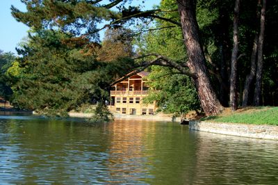 Chalet Robinson