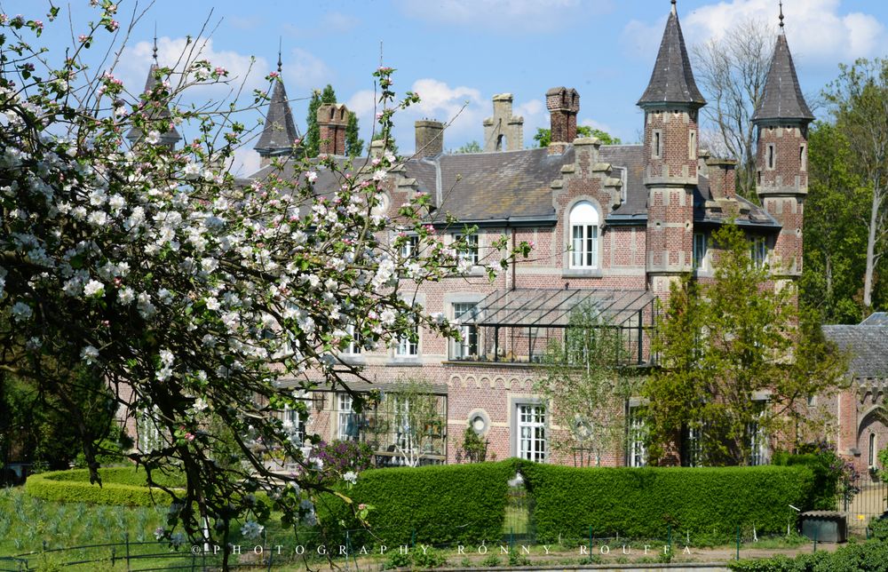 Château de la Motte – photo 4, salle de séminaire à Saint-trond