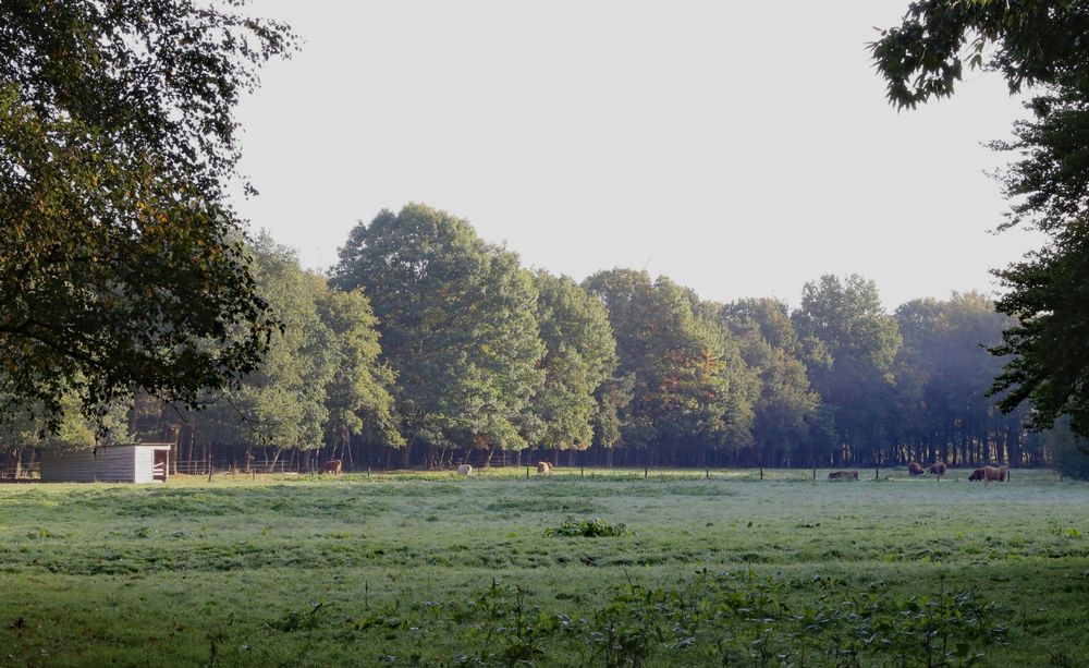 Château ter Meiren – photo 12, lieu de séminaire à Hoogstraten