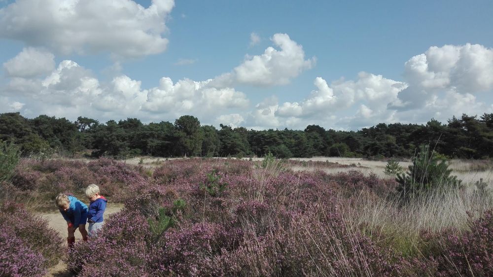 Hotel Jerom Kalmthout – photo 26, lieu de séminaire à Kalmthout