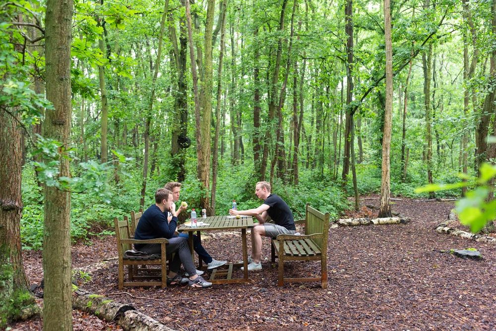 Lithium Bed, Zen & Breakfast – photo 5, salle de séminaire à Malines