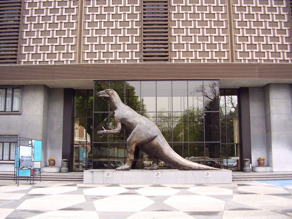 Muséum des Sciences naturelles – salle de séminaire et événements professionnels à Bruxelles