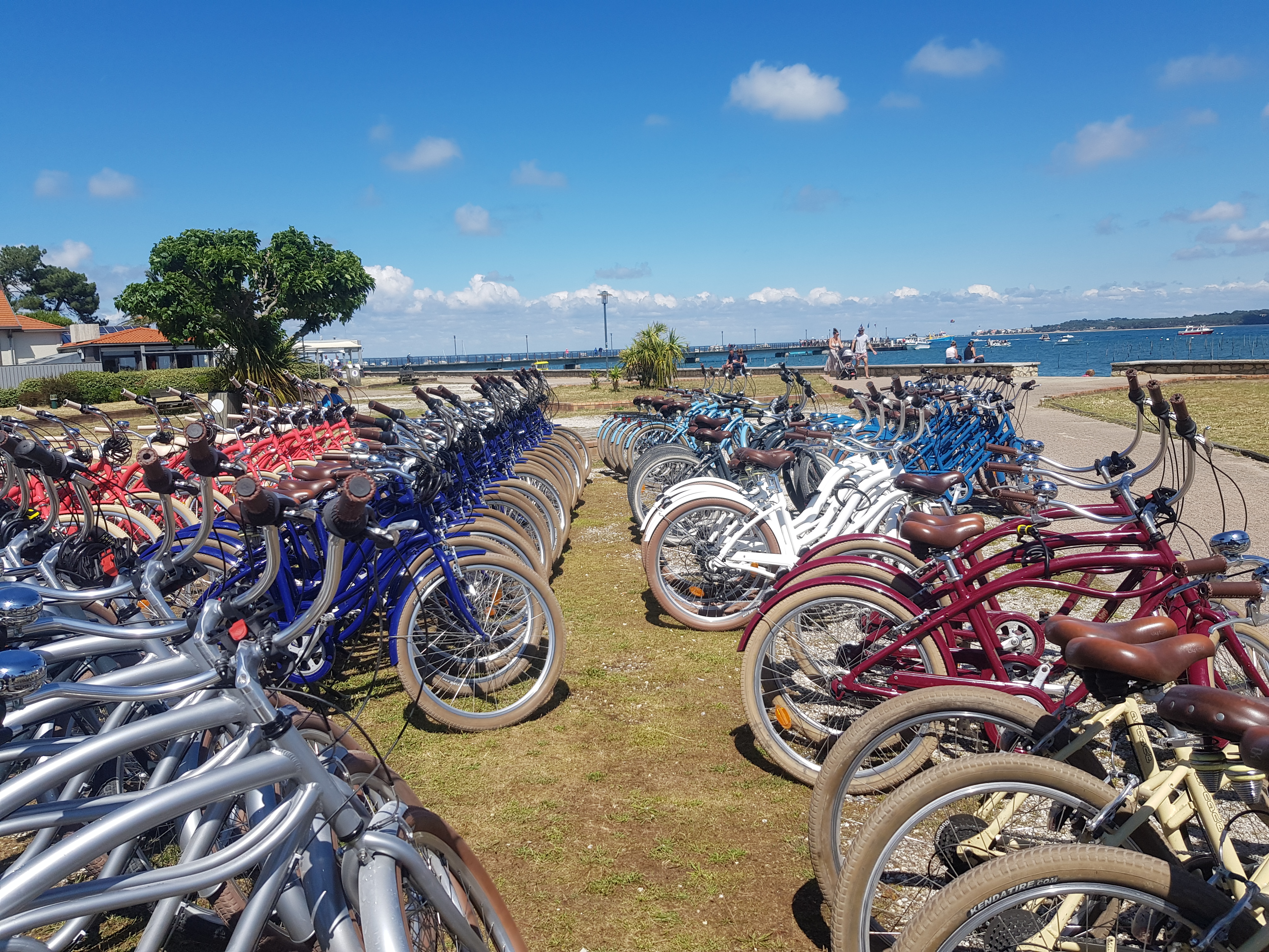 Shuttle transport Antwerpen deelnemers aan Havenhuis waterkant · INNOV'events