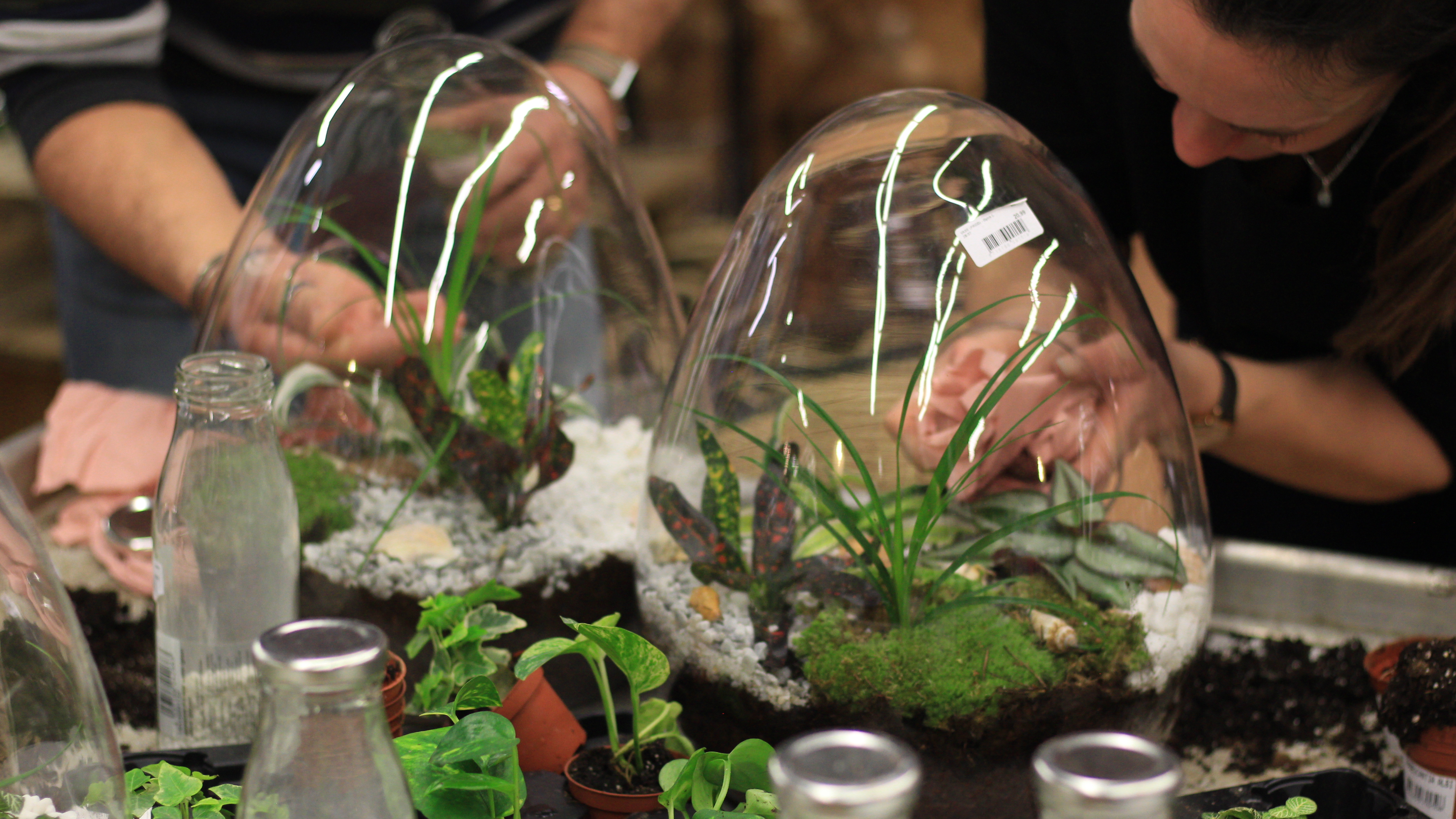 Animatie geurworkshop parfum creatie workshop Brussel avondformaat kaarslicht · INNOV'events