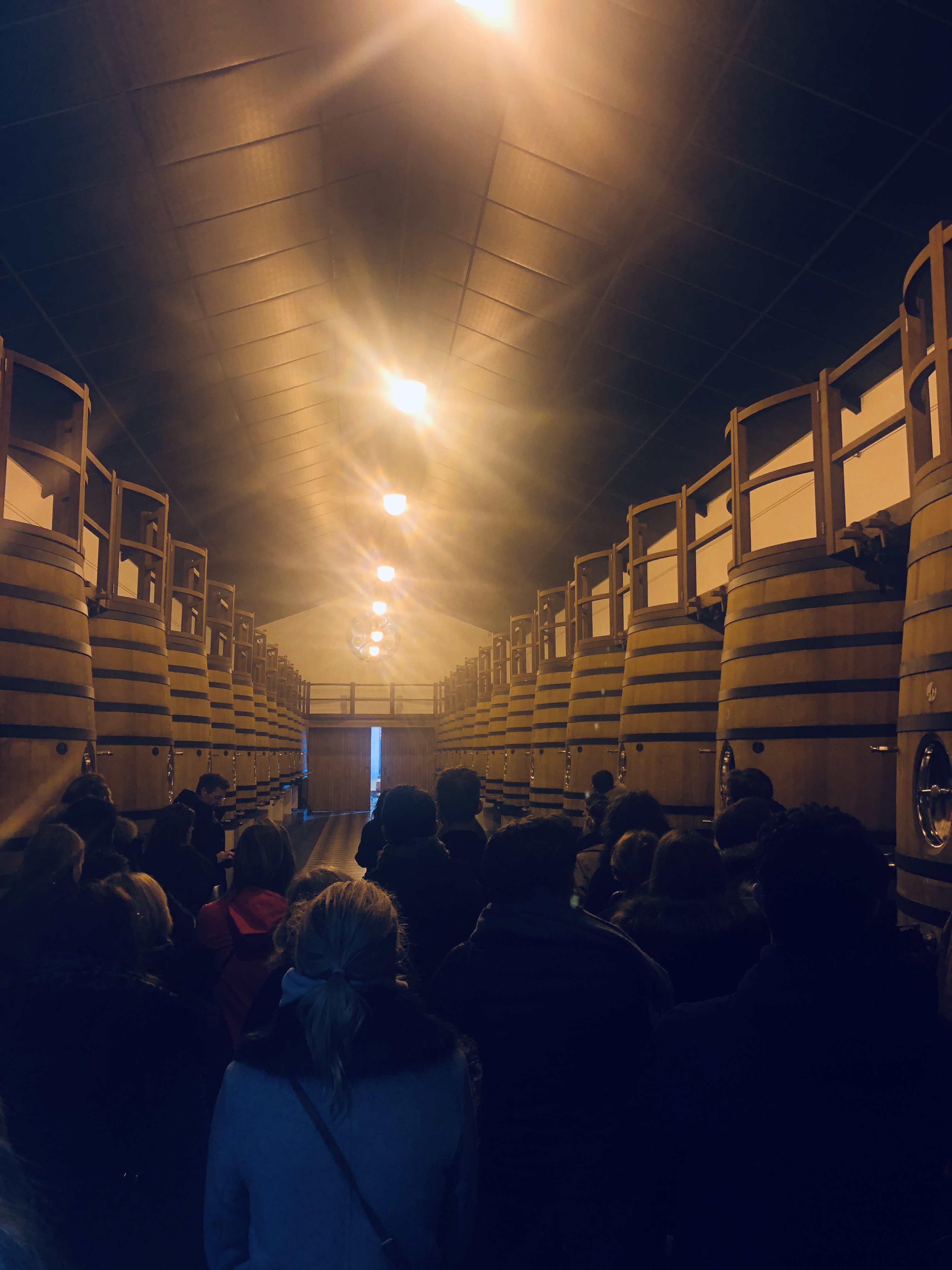 Thematische wijnproeverij bedrijven Luik sommelier met wijnglazen · INNOV'events