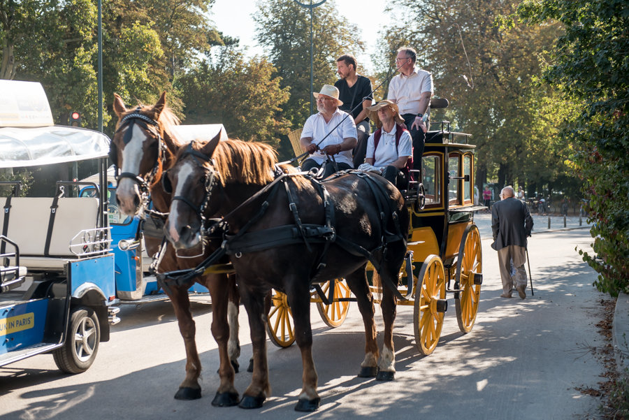 Geleide rondleiding Brussel groep Cinquantenairpark bedrijfsdag · INNOV'events