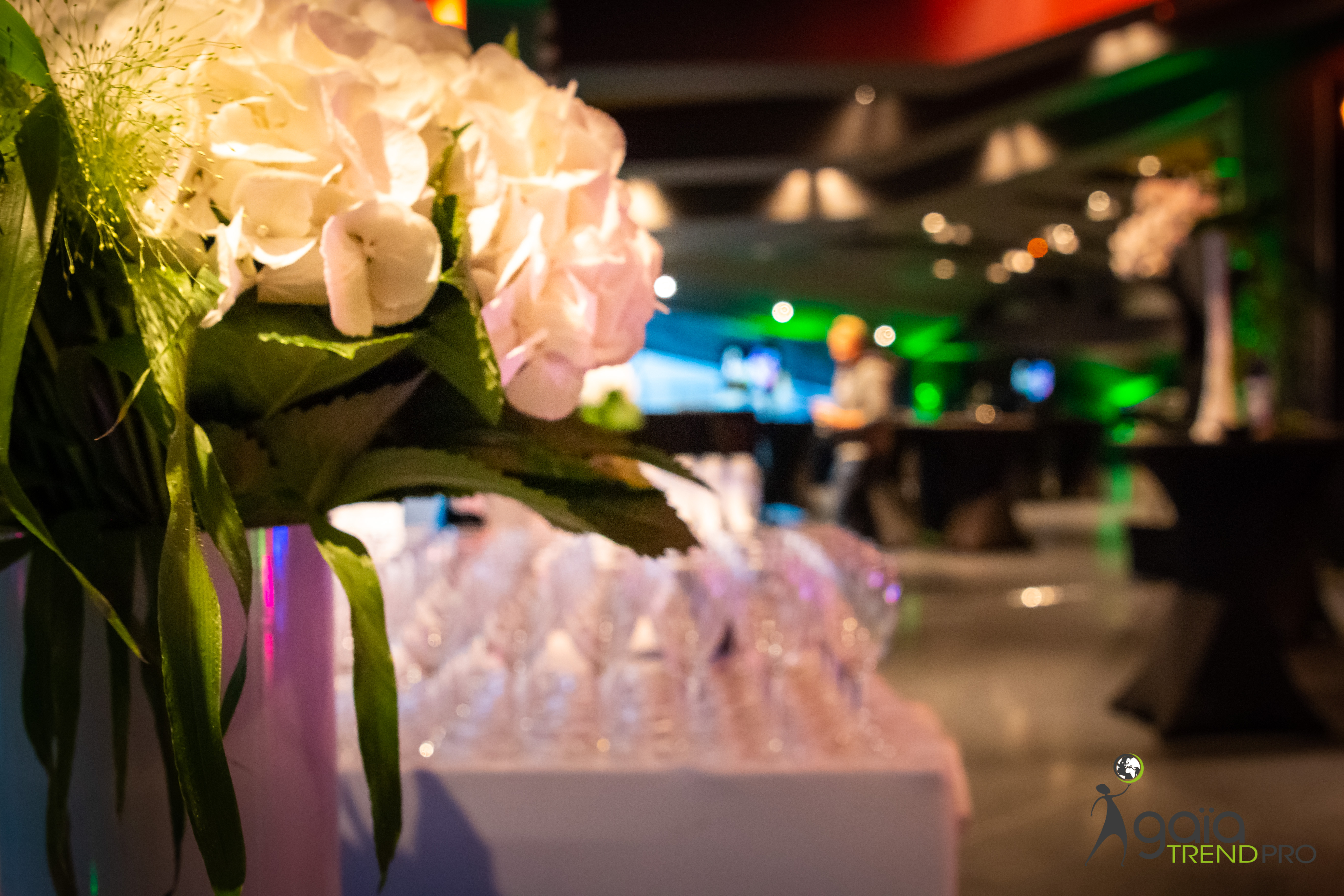 soirée de gala Liège cocktail debout invités en tenue de soirée espace lumineux · INNOV'events
