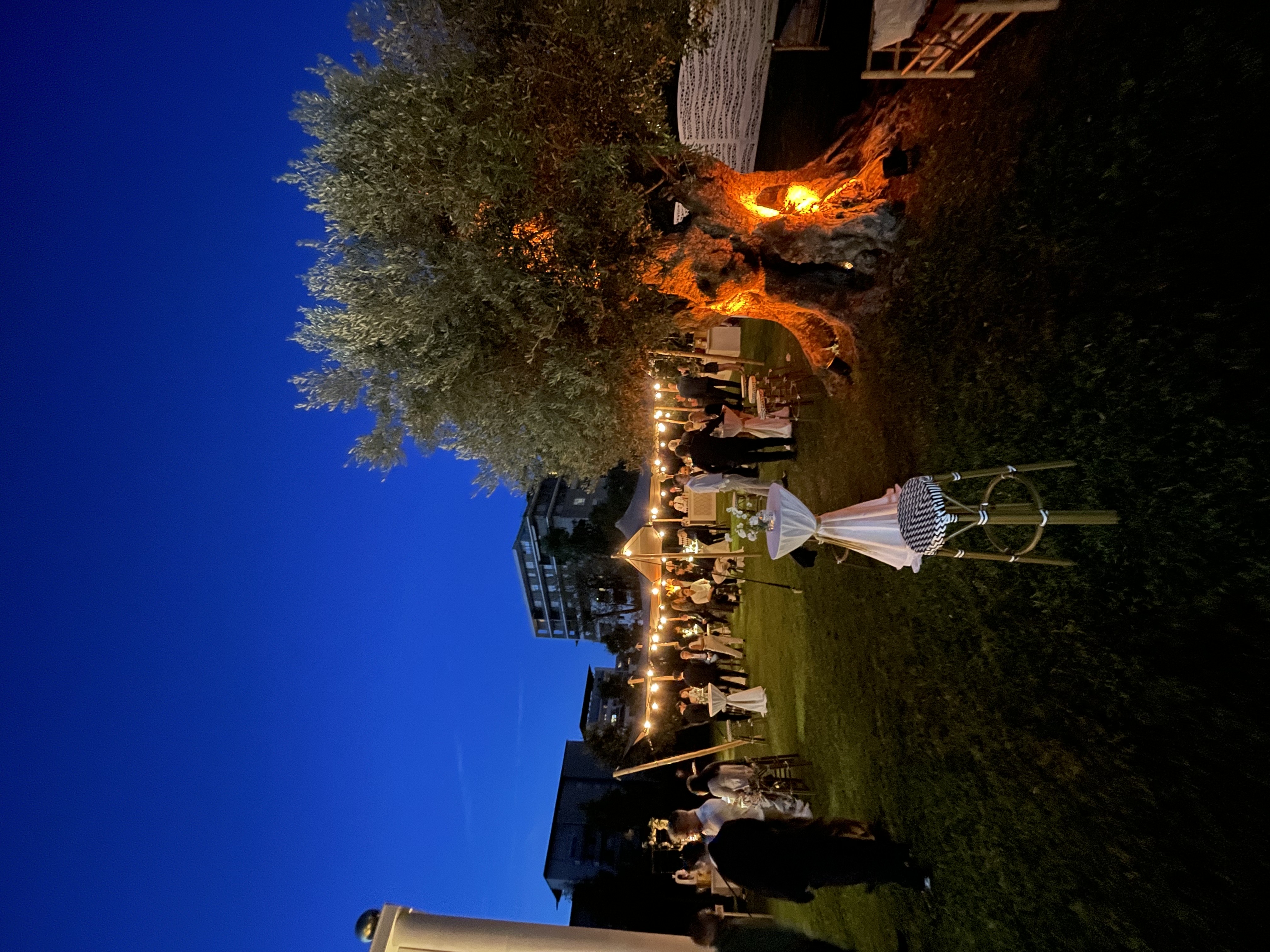 Animation kermisanimatie garden party Brussel zomerevenement bedrijf · INNOV'events